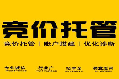 百度广告推广策略及成功案例解析